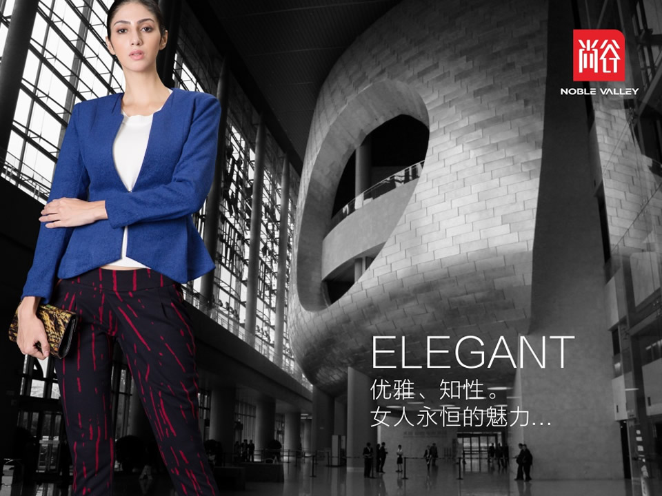 服裝企業(yè)品牌設計